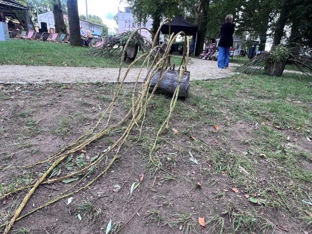 Fot. Małgorzata Gwiazda-Elmerych [Radio Szczecin] "Kwietna Pani i jej Land Art" - reportaż Małgorzaty Gwiazdy-Elmerych