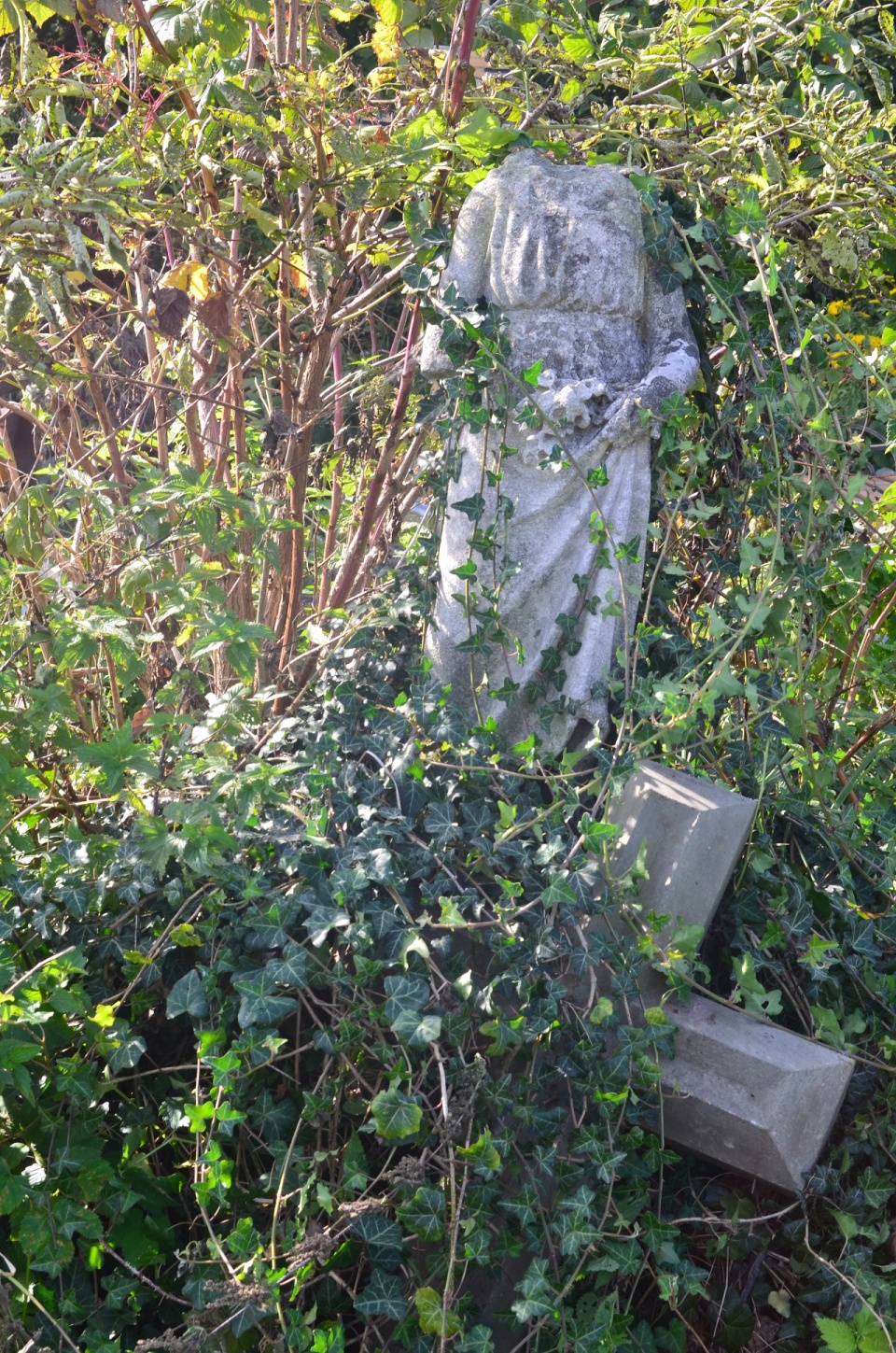 Cmentarz w Winnikach. Fot. Barbara Patlewicz