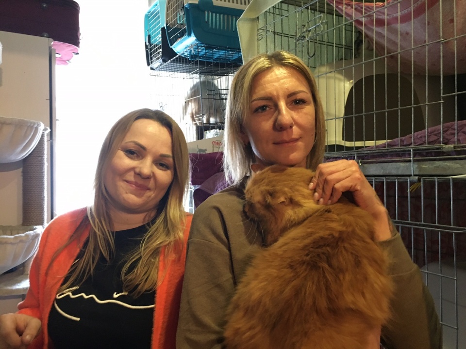 Ania Stajuda i Agnieszka Bagińska opiekują się kotami z Ukrainy - Stowarzyszenie Kociarka
