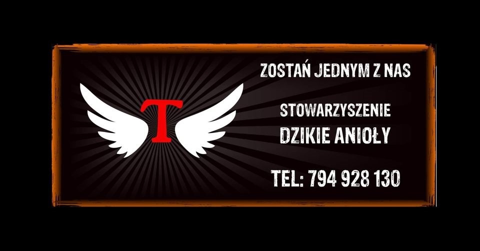 Dzikie Anioły z Polic