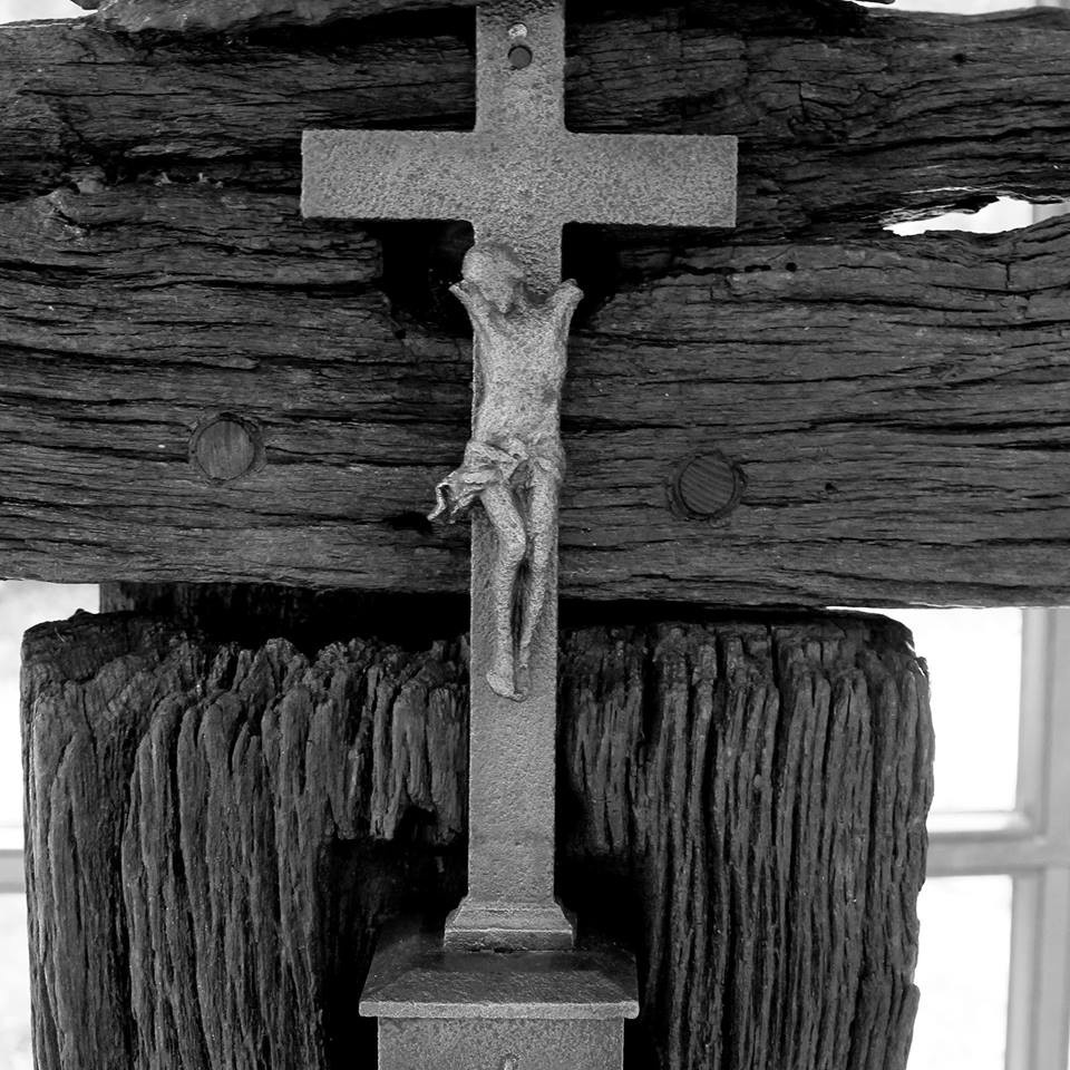 Fot. Andrzej Łazowski