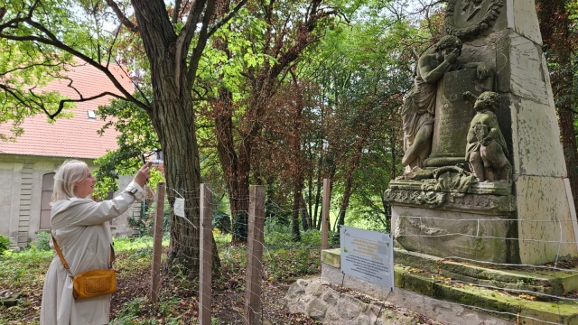 e58a18de-80a7-48a6-94cd-af0ecc008263 Odcinek drugi: Historia szalonego jeźdźca, ale nie tylko