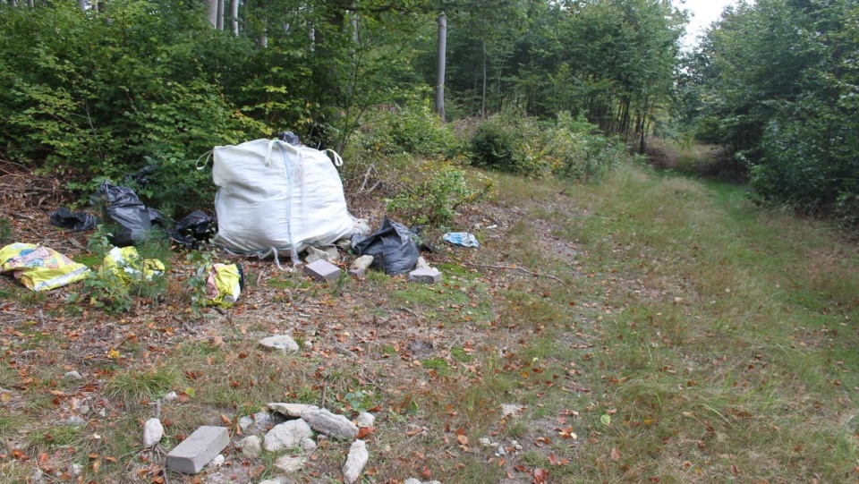 Śmieci przywiezione do lasu. (Fot. Nadleśnictwo Trzebież)