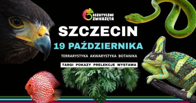 Fascynujący świat terrarystyki, akwarystyki i botaniki. Fot. https://netto.arenaszczecin.eu 