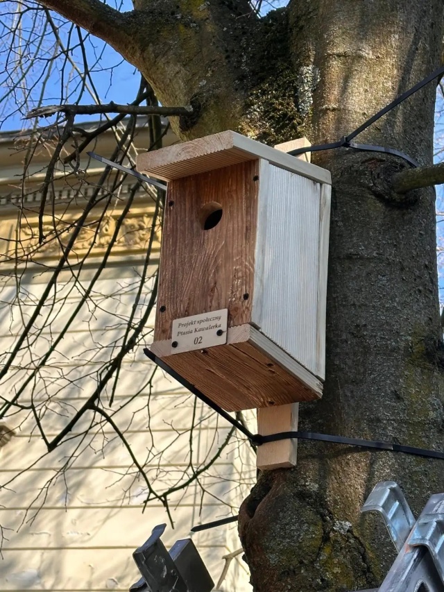 "Ptasia Kawalerka" uczniów Prywatnego Liceum Ogólnokształcącego Leonardo SVS — projekt realizowany w ramach "Zwolnieni z Teorii" 