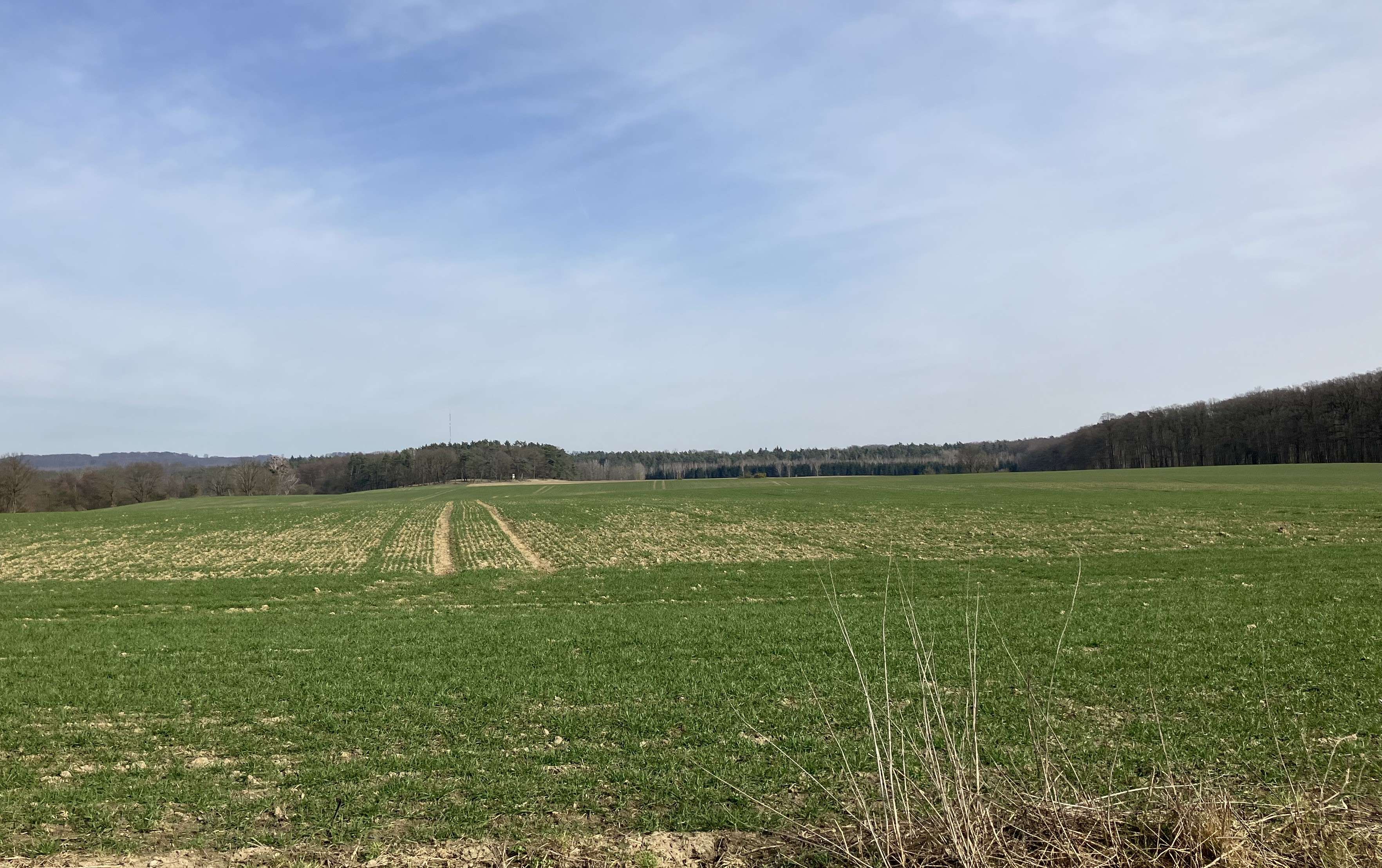 Według pomiarów, od początku roku w niektórych rejonach województwa deszczu spadło kilka razy mniej, niż powinno, żeby uzupełnić braki w wodach gruntowych.