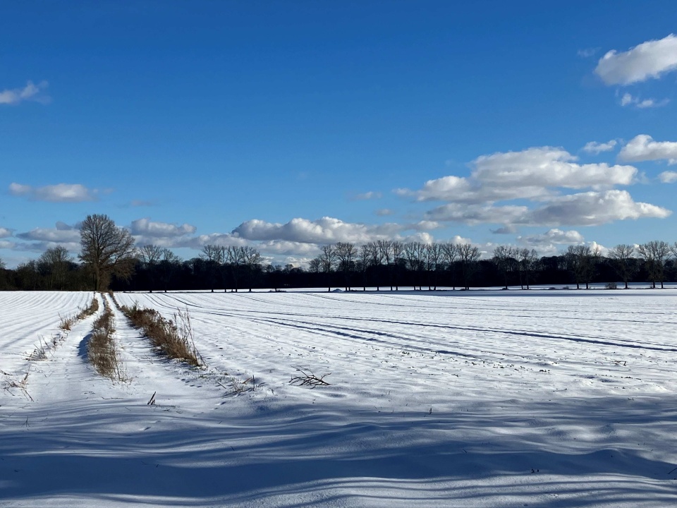Na Szczecińskiej Ziemi. fot. P. Tolko (Radio Szczecin)