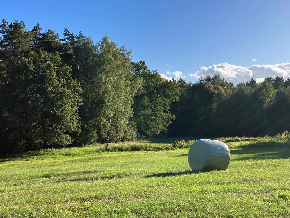 Na Szczecińskiej Ziemi. fot. P. Tolko (Radio Szczecin)