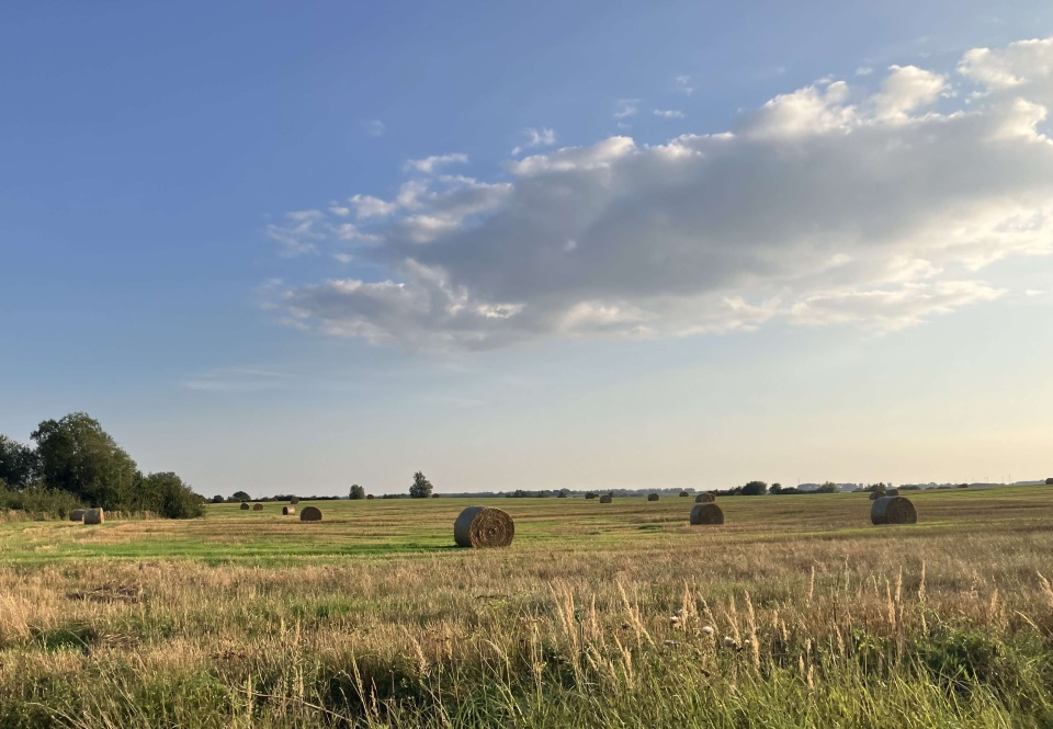 Na Szczecińskiej Ziemi. fot P. Tolko (Radio Szczecin)