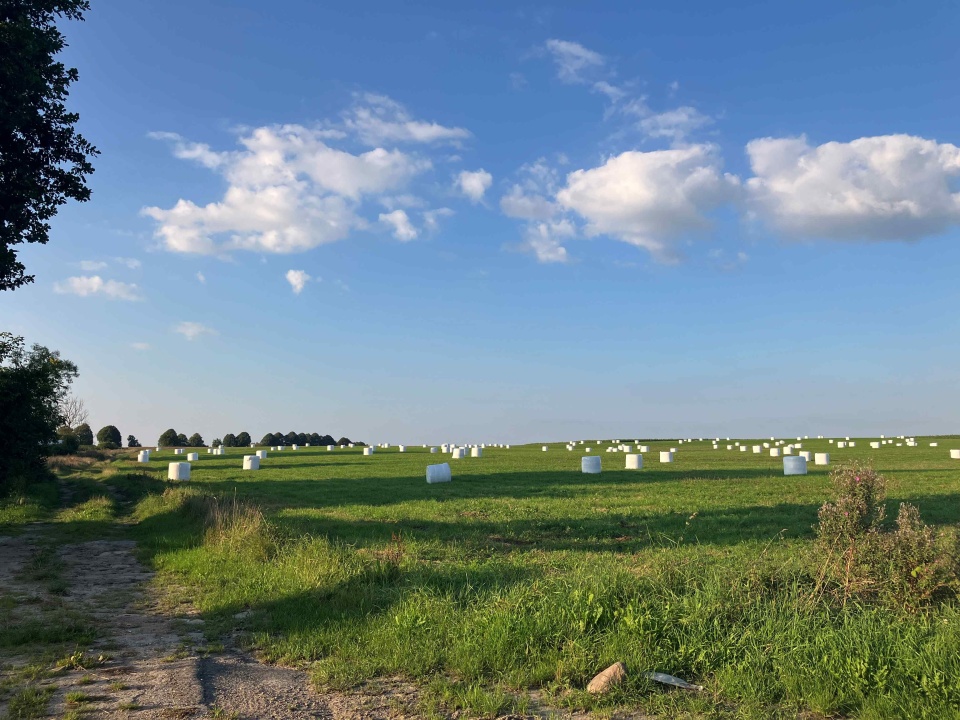 Na Szczecińskiej Ziemi. fot. P. Tolko (Radio Szczecin)