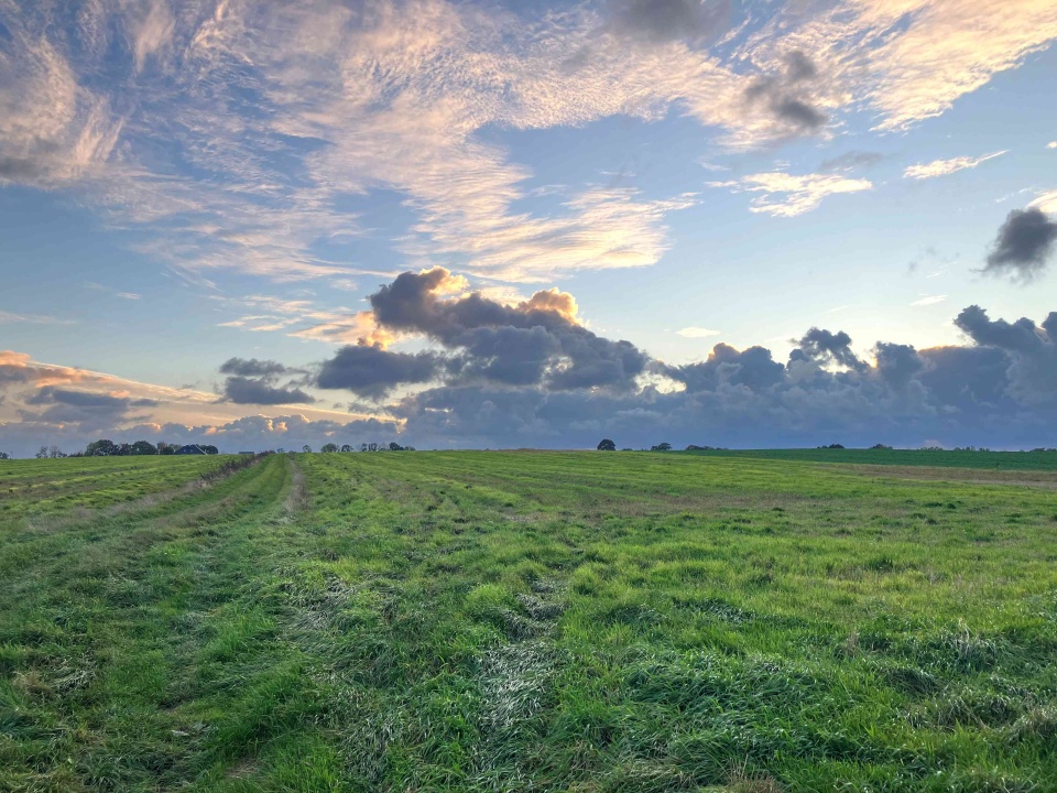 Na Szczecińskiej Ziemi. fot P. Tolko (Radio Szczecin)