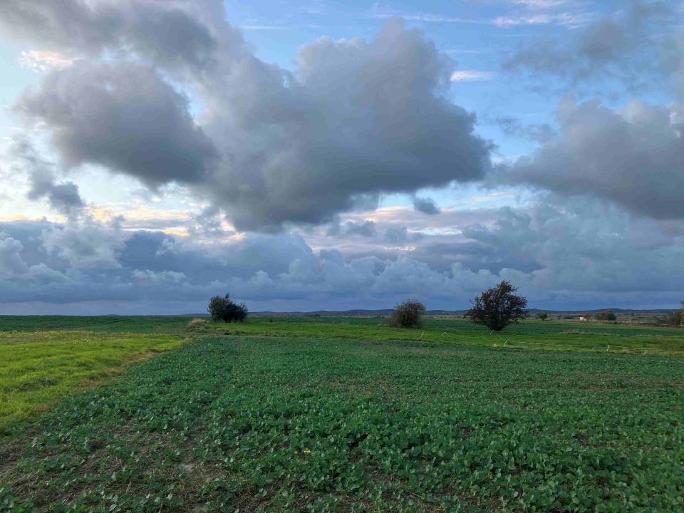 Na Szczecińskiej Ziemi. fot. P. Tolko (Radio Szczecin)