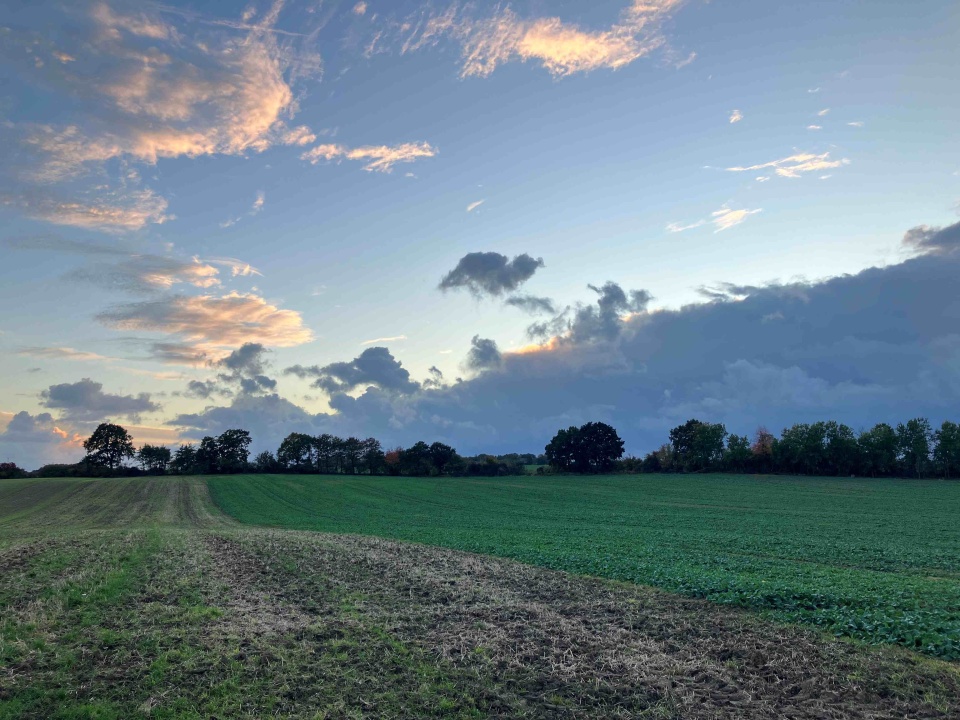 Na Szczecińskiej Ziemi. fot. P. Tolko (Radio Szczecin)