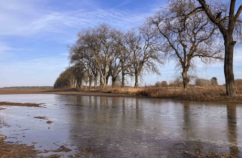 Na Szczecińskiej Ziemi. fot. P. Tolko (Radio Szczecin)