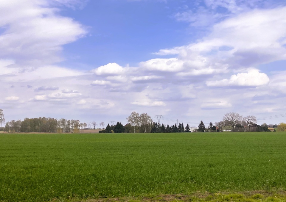 Na Szczecińskiej Ziemi. fot. P. Tolko (Radio Szczecin)