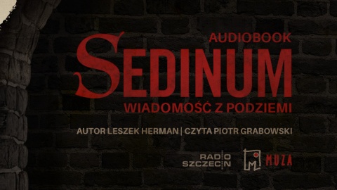 Sedinum