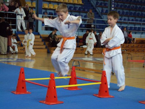 Blisko 150 zawodników w wieku od 5 do 13 lat uczestniczyło w Mistrzostwach Pomorza Zachodniego w Karate Shotokan Dzieci i Młodzieży, które odbyły się w Szczecinie.
