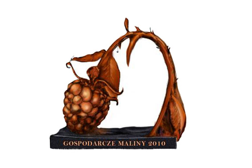 Największe sejmowe ugrupowania PO, PSL, PiS i SLD, Minister Finansów Jacek Rostowski, PKP i Piotr Tymochowicz to laureaci Gospodarczych Malin 2010. Gospodarcze Maliny to antynagrody dla tych, którzy w 2010 roku mieli negatywny wpływ na polską gospodarkę, szkodzili przedsiębiorczości, bądź psuli standardy rynku kapitałowego.