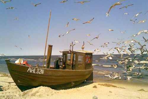 Rząd nie będzie ingerował w porozumienia podpisywane przez polskich rybaków z koncernem Nord Stream - zapowiedział w Ustce wiceminister rolnictwa Kazimierz Plocke.