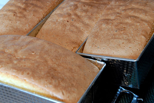 W zawodach rzemieślniczych liczba chętnych do nauki spada tak, że na przykład rzeźnie sprowadzają Chińczyków albo przekwalifikowują murarzy-alarmuje Gazeta Wyborcza.