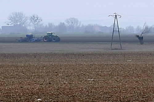 Dziś w całym kraju odbędą się wybory do 314 rad powiatowych izb rolniczych.