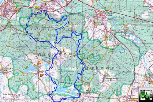 W Szczecinie odbędzie się dziś rowerowy maraton mtb po puszczy Bukowej.
