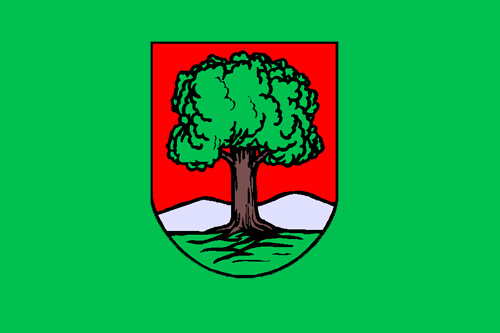 Wielkie emocje i wielka przegrana - sąd oddalił protest wyborczy Mirosława Lubińskiego, który domagał się powtórzenia drugiej tury wyborów w Wałbrzychu.