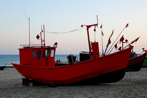 Wiceminister rolnictwa zaprzecza, jakoby polscy rybacy łowili nielegalnie łososie bałtyckie. Oskarżają o to naszych armatorów fińscy naukowcy. Twierdzą oni, że z powodu prowadzonych przez polskich rybaków nielegalnych połowów, gwałtownie zmniejsza się populacja łososia bałtyckiego.