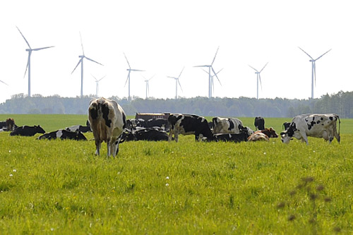 78 projektów, w tym 3 z Polski, dotyczących wykorzystania technologii przyjaznych środowisku ma szanse na dofinansowanie z Unii Europejskiej. Kraje członkowskie przesłały do Brukseli swoje propozycje. Teraz oceni je Europejski Bank Inwestycyjny i wraz z Komisją Europejską wybierze te, które otrzymają finansowe wsparcie.
