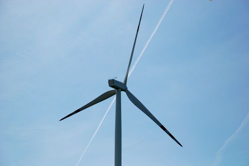 Elektrownie wiatrowe produkujące tzw. zieloną energię z wiatru przysparzają też poważnych problemów ekologicznych. W Danii władze państwowe poszukują rozwiązania tego problemu.