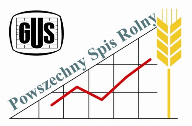 Według wstępnych wyników Powszechnego Spisu Rolnego, w 2010 roku w Polsce było 2 miliony 278 tysięcy gospodarstw. To mniej o 22,4 niż w poprzednim spisie z 2002 roku.