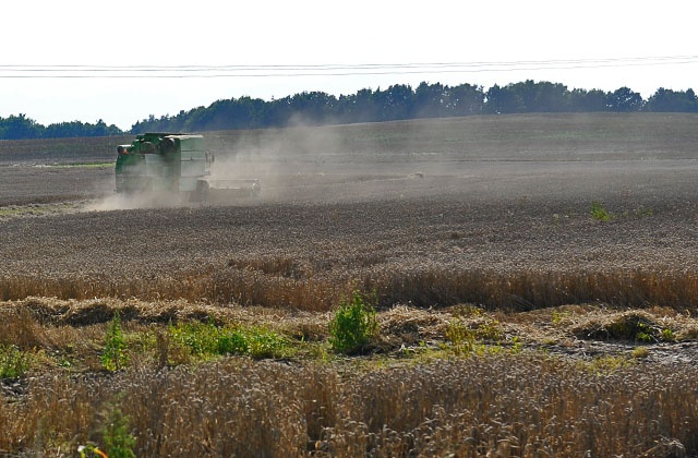 Od 26 września do 7 października rolnicy mogą składać wnioski do programu Tworzenie i rozwój mikroprzedsiębiorstw w ramach Programu Rozwoju Obszarów Wiejskich - ogłosiła Agencja Restrukturyzacji i Modernizacji Rolnictwa. Do wydania jest ponad 2,5 mld zł. Ta kwota pozwoli utworzyć przeszło 25 tysięcy nowych miejsc pracy na terenach wiejskich.