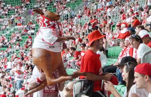 W meczu we Wrocławiu przegraliśmy z Czechami 0:1. Fot. Tomasz Chaciński [PR Szczecin] Koniec Euro dla Polski, Smuda kończy pracę? [WIDEO, DUŻO ZDJĘĆ]