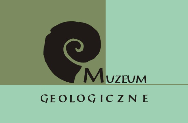 Metrowej wielkości czaszkę krokodyla, która ma 60 milionów lat kupiło Muzeum Geologiczne w Szczecinie. Czaszka pochodzi z Maroka. To najnowszy nabytek muzeum.