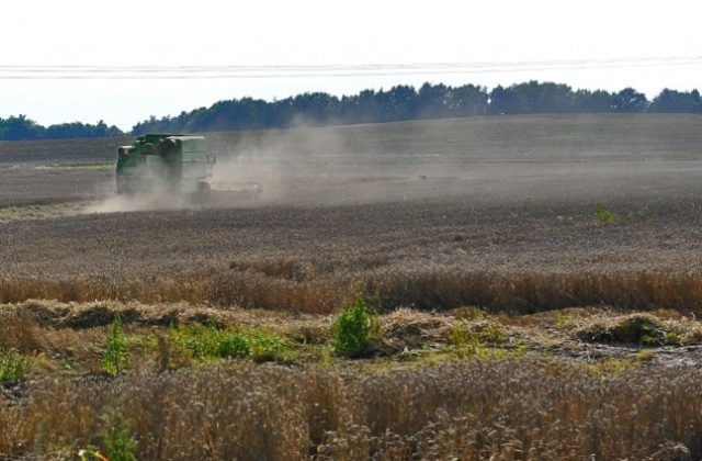 Unia Europejska zmienia zdanie w sprawie biopaliw produkowanych ze zbóż. Jeszcze niedawno ich produkcja była dotowana, a teraz Komisja Europejska zapowiedziała wprowadzenie limitów. Powodem jest głód na świecie.