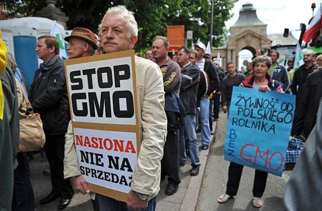 Senat przegłosował bez poprawek ustawę o nasiennictwie, wywołującą protesty przeciwników GMO. Dotyczy ona m.in. rejestracji i obrotu nasionami zmodyfikowanymi genetycznie. Teraz trafi do podpisu prezydenta.