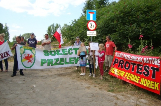 Kolejny dzień protestu przeciwko fermie norek w Przelewicach. Fot. Stowarzyszenie "Wspólna Sprawa" Pilnowali dojazdu do fermy. Teraz negocjują [ZDJĘCIA]