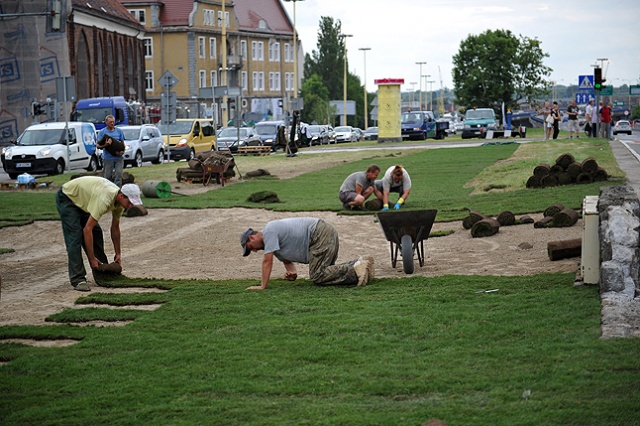 Miasto rozwija trawę z rolki w miejscu, gdzie stał Maszt Maciejewicza. Fot. Łukasz Szełemej [Radio Szczecin] Nie ma trawy? To trzeba rozłożyć [ZDJĘCIA]
