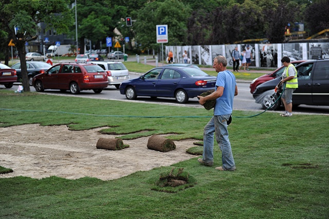 Miasto rozwija trawę z rolki w miejscu, gdzie stał Maszt Maciejewicza. Fot. Łukasz Szełemej [Radio Szczecin] Nie ma trawy? To trzeba rozłożyć [ZDJĘCIA]