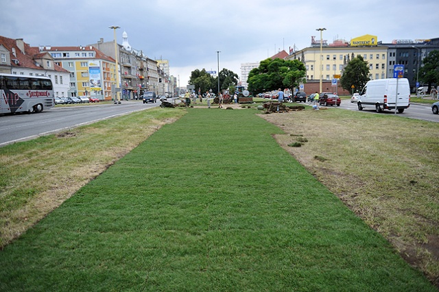 Miasto rozwija trawę z rolki w miejscu, gdzie stał Maszt Maciejewicza. Fot. Łukasz Szełemej [Radio Szczecin] Nie ma trawy? To trzeba rozłożyć [ZDJĘCIA]