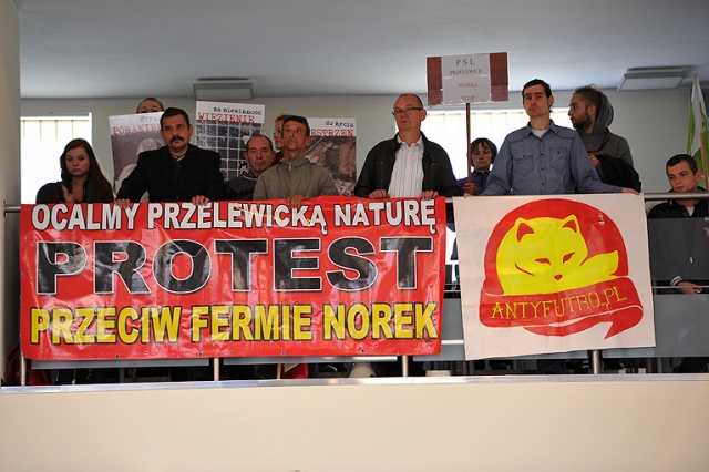 Protestujący sprzeciwiają się otwieraniu kolejnych ferm w Zachodniopomorskiem. Fot. Łukasz Szełemej [Radio Szczecin] Nie chcą hodowli norek w okolicy. Przyszli na obrady sejmiku [NOWE, ZDJĘCIA]