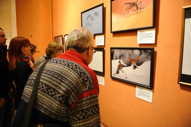 Wildlife Photographer of the Year 2012. Fot. Łukasz Szełemej [Radio Szczecin] Najlepsze fotografie dzikiej przyrody [ZDJĘCIA]