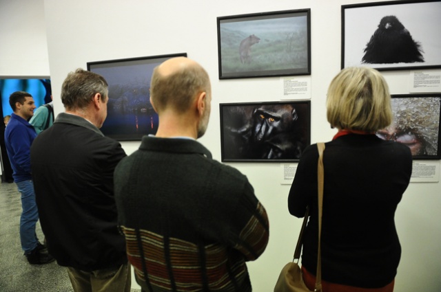 Wildlife Photographer of the Year 2012. Fot. Łukasz Szełemej [Radio Szczecin] Najlepsze fotografie dzikiej przyrody [ZDJĘCIA]