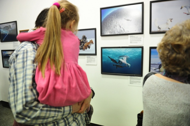 Wildlife Photographer of the Year 2012. Fot. Łukasz Szełemej [Radio Szczecin] Najlepsze fotografie dzikiej przyrody [ZDJĘCIA]