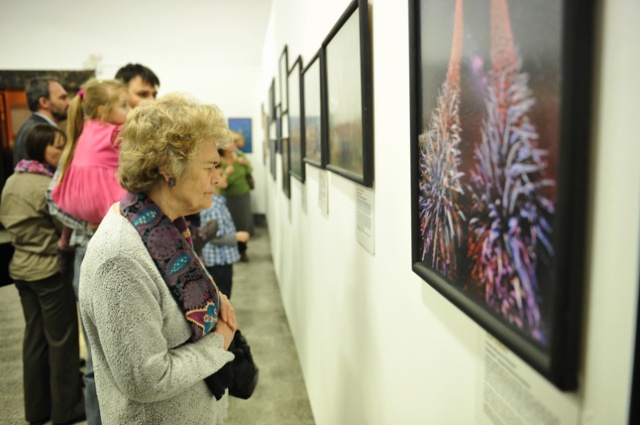 Wildlife Photographer of the Year 2012. Fot. Łukasz Szełemej [Radio Szczecin] Najlepsze fotografie dzikiej przyrody [ZDJĘCIA]