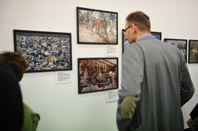 Wildlife Photographer of the Year 2012. Fot. Łukasz Szełemej [Radio Szczecin] Najlepsze fotografie dzikiej przyrody [ZDJĘCIA]