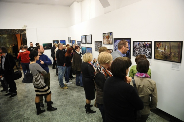 Wildlife Photographer of the Year 2012. Fot. Łukasz Szełemej [Radio Szczecin] Najlepsze fotografie dzikiej przyrody [ZDJĘCIA]