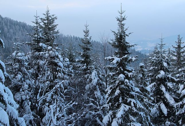 Od PKP kupiła je spółka Polskie Koleje Górskie, powołana przez cztery podhalańskie samorządy. Umowa sprzedaży została podpisana w czwartek. Wartość transakcji wyniosła 215 mln zł.