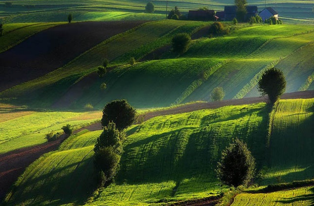24 fotografie ukazujące krajobrazy i klimaty Roztocza można oglądać w Galerii LIBRA w Szczecinie. GreenGiloow.com to tytuł najnowszej wystawy fotograficznej Jolanty Szabłowskiej.