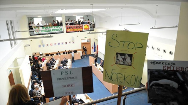 Prace nad przepisami, które uznają norkę amerykańską za zwierzę inwazyjne nigdzie nie są prowadzone, mimo zapowiedzi wiceministra środowiska Stanisława Gawłowskiego - tak mówił w Kawiarence politycznej Radia Szczecin poseł PiS, Michał Jach.